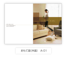 おもて面(外面)A-01
