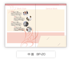 中面BP-20